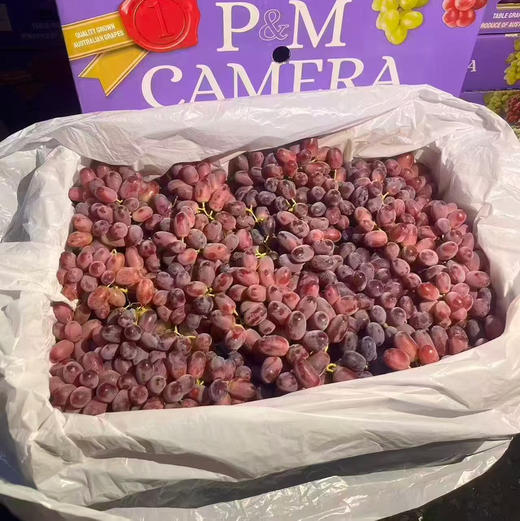 进口无籽红提 脆甜口感 硬度好 果粉足 39.9/斤 商品图3