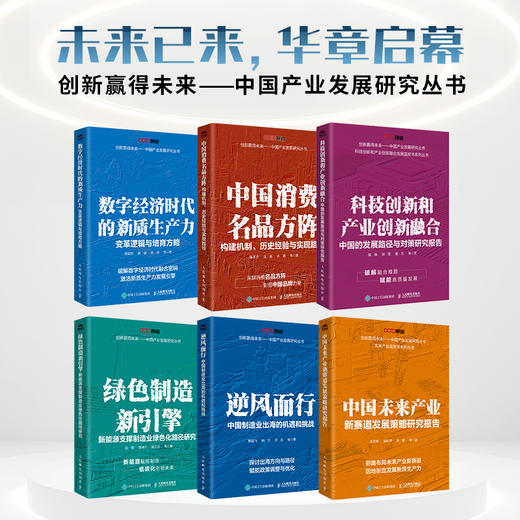 逆风而行：中国制造业出海的机遇和挑战 制造业出海产业链协同政策研究实战案例 中国经济企业管理产业经管书籍 商品图4