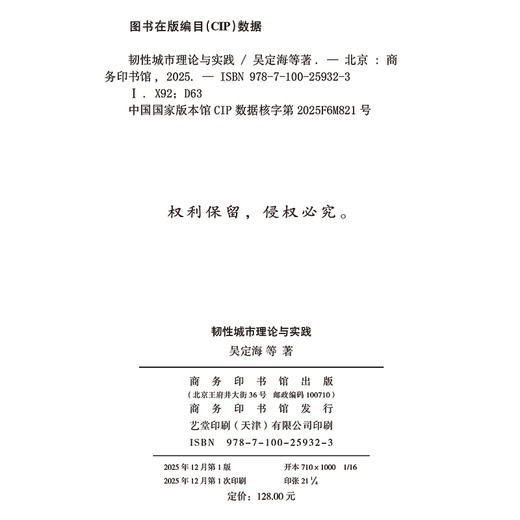 韧性城市理论与实践 商品图1