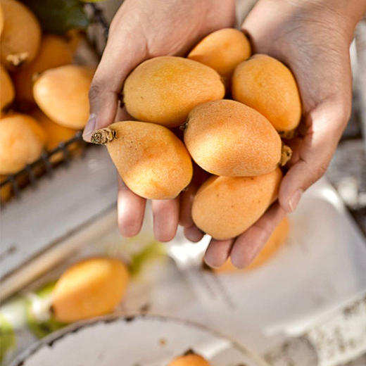 攀枝花米易高山有机枇杷 早钟枇杷新鲜应季水果产地顺丰发货 商品图3