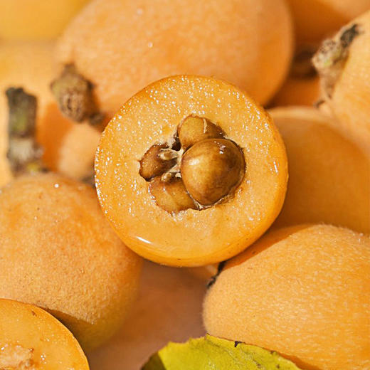 攀枝花米易高山有机枇杷 早钟枇杷新鲜应季水果产地顺丰发货 商品图6