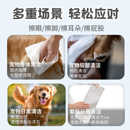 KOJIMA巨无霸宠物湿巾半臂长狗狗猫咪专用湿巾80抽免洗全身清洁 商品图3