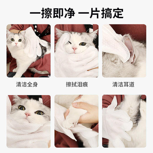 日本KOJIMA宠物免洗手套猫咪干洗湿巾狗狗除臭SPA洗澡清洁用品 商品图2
