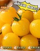 【黄色樱桃小番茄】口感正宗 酸甜多汁，果肉细腻，细腻的果肉咬一口，汁水四溢，夹杂着一丝丝酸味，回味香甜怡-CC 商品缩略图1