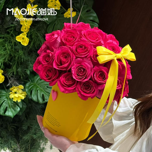 弗洛伊德抱抱桶（提前一天预定） 商品图1