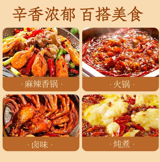 【SF】砂仁 厨房调味品 商品图2