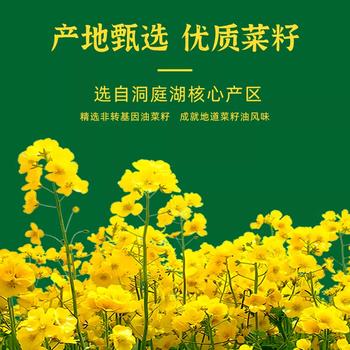 金浩（JINHAO）【保真菜籽油】非转基因食用油压榨  菜籽油5L /粮油调味 /食用油 /菜籽油 商品图3
