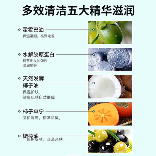 日本KOJIMA宠物免洗手套猫咪干洗湿巾狗狗除臭SPA洗澡清洁用品 商品图1