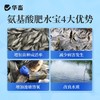 华畜肥水宝浓缩氨基酸肥水鱼虾蟹鱼塘低温肥水膏水产养殖硅藻肥水 商品缩略图3