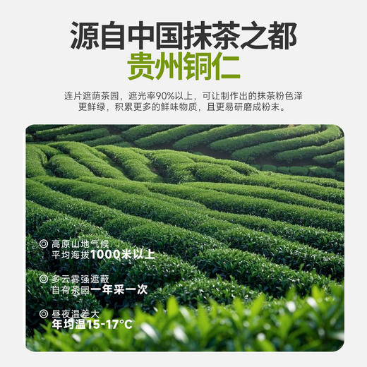 西域美农 铜仁雾青抹茶粉 100%抹茶粉 微苦回甘 商品图1