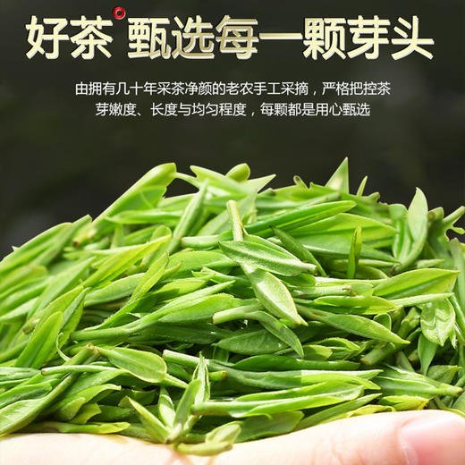 2026春茶 明前高山英德毛尖180克 商品图5