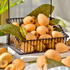 攀枝花米易高山有机枇杷 早钟枇杷新鲜应季水果产地顺丰发货 商品缩略图1