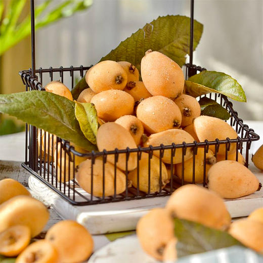 攀枝花米易高山有机枇杷 早钟枇杷新鲜应季水果产地顺丰发货 商品图1