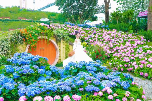 【门票+汉服写真】2026年单人套票338 | 需提前预约 商品图1