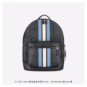经典老花双肩包