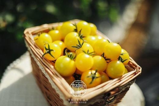 【黄色樱桃小番茄】口感正宗 酸甜多汁，果肉细腻，细腻的果肉咬一口，汁水四溢，夹杂着一丝丝酸味，回味香甜怡-CC 商品图7