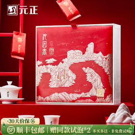 元正 沁园春礼盒 小种红茶特级武夷红茶送礼250g