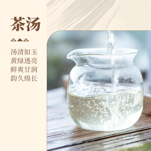 【甘活坊】2.0高山古树滇绿纸盒60g 商品图3