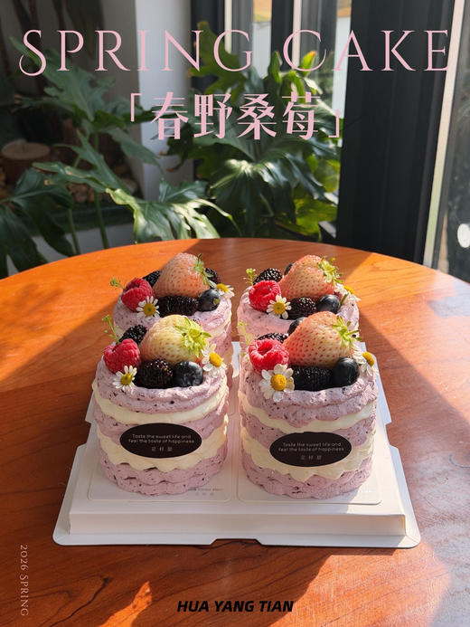 mini春野桑莓·巧克力小奶糕 商品图2