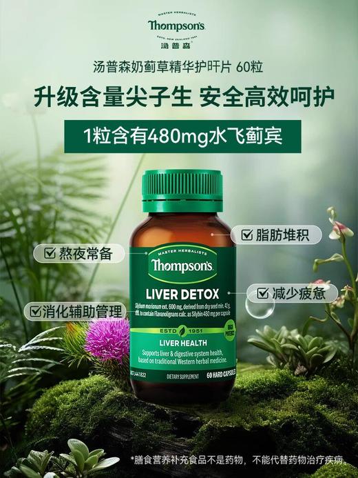 澳大利亚Thompson's汤普森奶蓟草精华护肝片60粒/瓶 商品图1