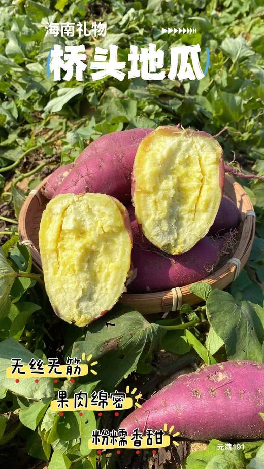 『海南桥头地瓜』新鲜采挖，粉糯细腻，红薯界的爱马仕 商品图3