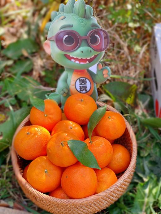 【云南高原虎柑】果肉细嫩化渣，瓤皮薄如蝉翼，补充维C不二之选-CC 商品图6