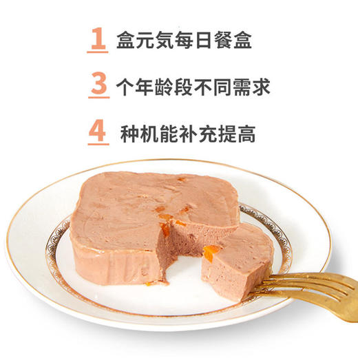 日本丹特医生狗狗罐头主食餐盒成犬幼犬老年狗湿粮肉罐头拌粮零食 商品图2