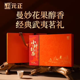 元正 茶票小种礼盒装 特级武夷山小种红茶自饮口粮茶叶送礼长辈200g