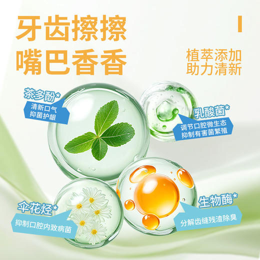 kojima宠物乳酸菌洁牙指套湿巾猫咪洁齿口臭牙齿狗狗口腔清洁刷牙 商品图4