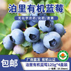 【厂商直发】青岛泊里有机蓝莓  头茬鲜果 4盒/6盒 /8盒有机认证 包邮 商品缩略图0