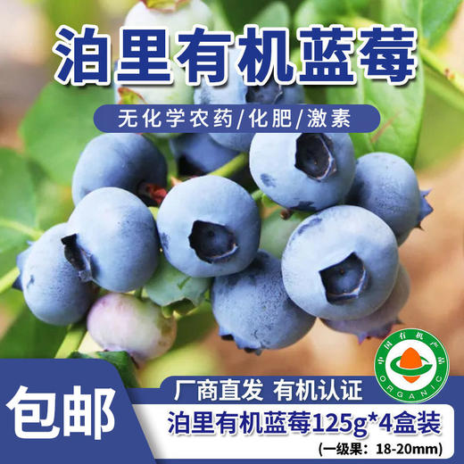 【厂商直发】青岛泊里有机蓝莓  头茬鲜果 4盒/6盒 /8盒有机认证 包邮 商品图0
