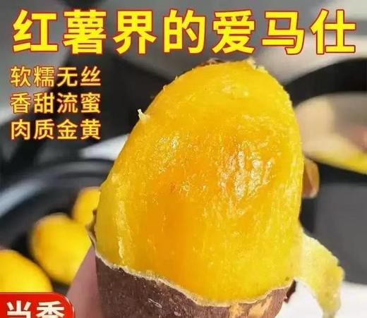 火山红薯 商品图0