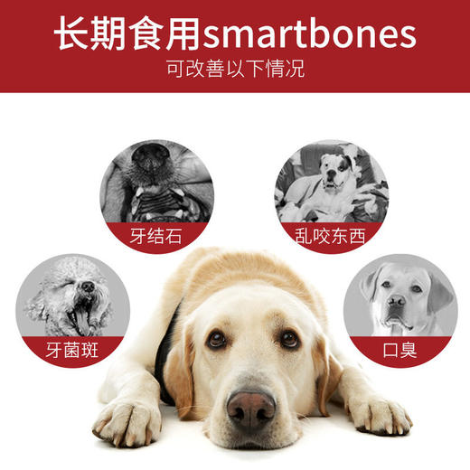 SmartBones洁齿骨狗狗咬胶磨牙棒小型犬耐咬狗零食磨牙洁齿除口臭 商品图2