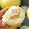 蜂糖蜜甜瓜  香甜软韧有脆劲  带有蜂糖香的小甜瓜 商品缩略图2