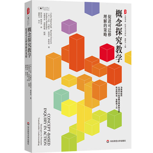 概念探究教学 促进可迁移理解的策略 大夏书系 培养学习力译丛 深度学习 商品图0