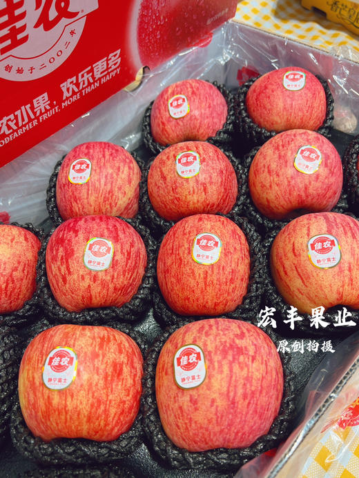 宏丰精选，佳农苹果 大品牌货 脆甜爽口，零售15.8元一斤 商品图2