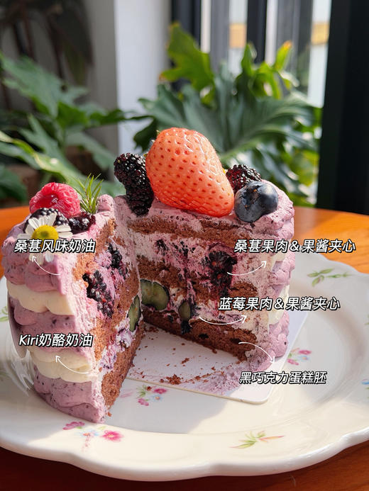 mini春野桑莓·巧克力小奶糕 商品图1