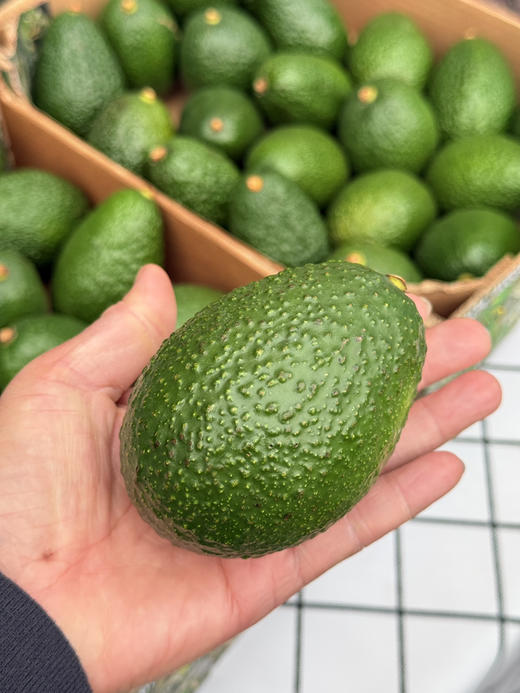 哈斯牛油果 商品图4