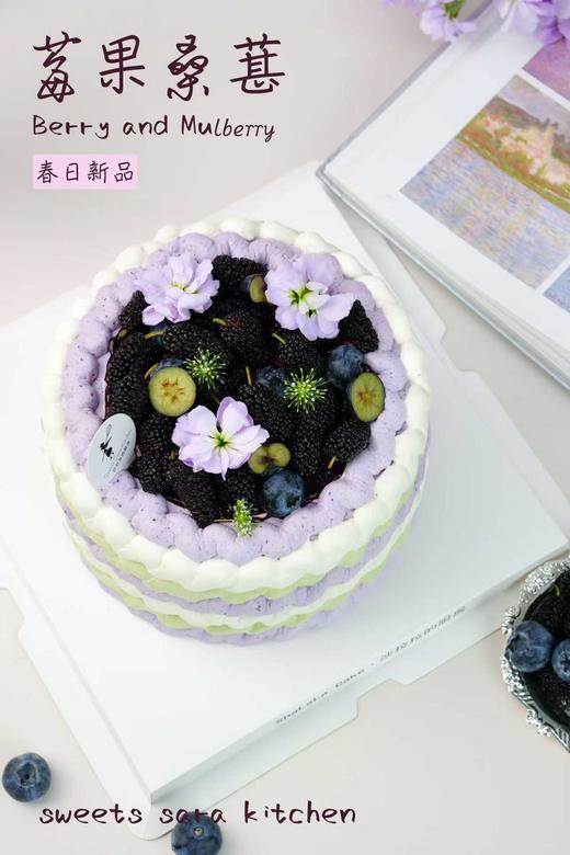 莓果桑葚 商品图2