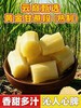 云巅甄选黄金甘蔗段（熟制） 商品缩略图0