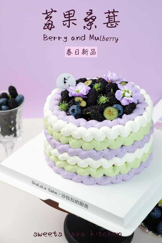 莓果桑葚 商品图5