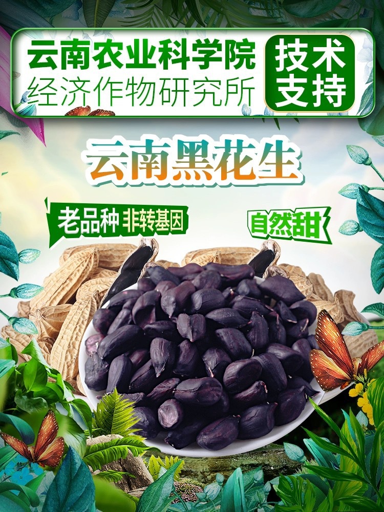 gWyWj/+nzNTvS8WG2Vtdg4hb/ZqoT2gtJgy0