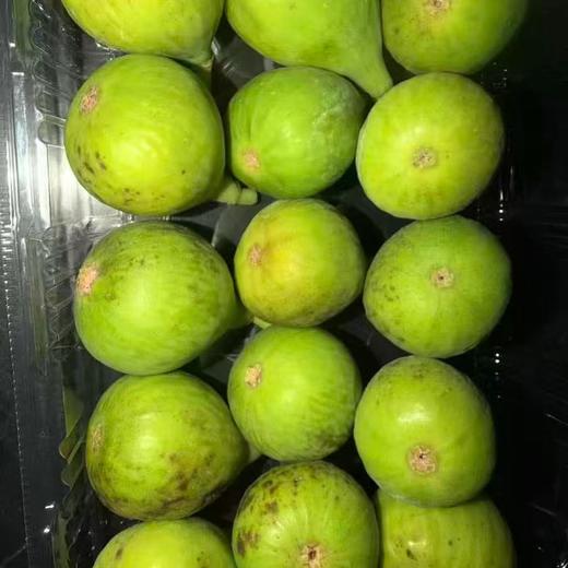 极客无花果•青皮丨 青皮无花果，个头偏小，皮薄如纸，肉质柔软糯，风味甜美。及时签收，到货当天食用完毕，吃不完冷冻保存，切勿存放！⭐️顺丰空运 商品图3