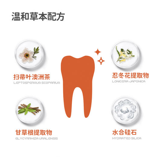 【生活必备丨壹白牙膏系列】澳大利亚原装进口，选用优质原料制作，4重焕白减渍，溶解牙垢，有效抑制牙菌牙斑，多效护理口腔健康 商品图3