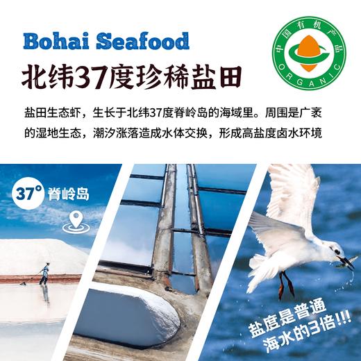 【有机虾仁】鲜冻白对虾大虾仁无虾线鲜甜紧实500g*2盒（夏季加冰） 商品图1