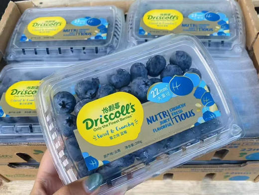 22➕怡颗莓的宝石蓝莓，颗颗饱满，一口一个巨过瘾 商品图2