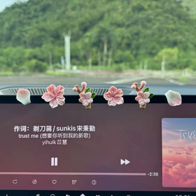桃花3D立体车贴16件套