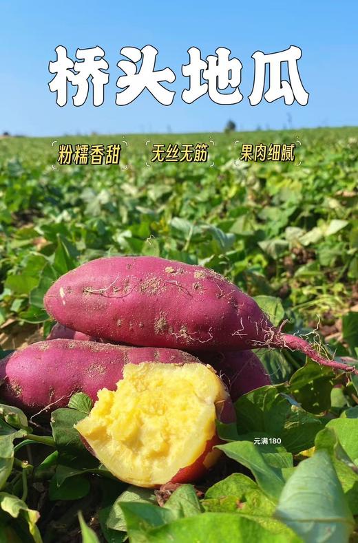 『海南桥头地瓜』新鲜采挖，粉糯细腻，红薯界的爱马仕 商品图5