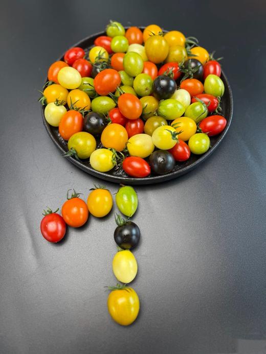 【山东 多彩小番茄】每一颗都有它独特的味道，真的是风味万种！ 商品图2