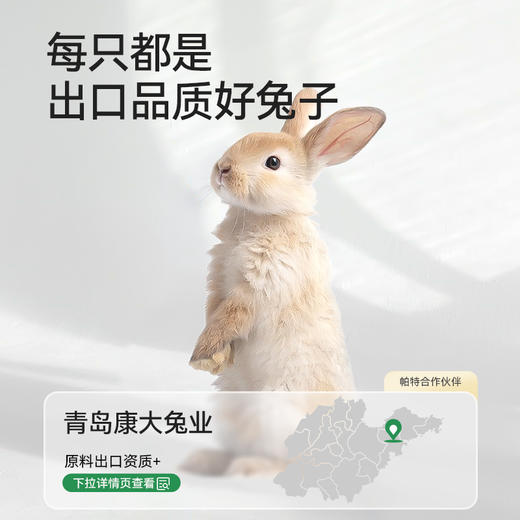 帕特诺尔全价兔肉配方猫粮 （生骨肉冻干）12g*20袋 商品图1
